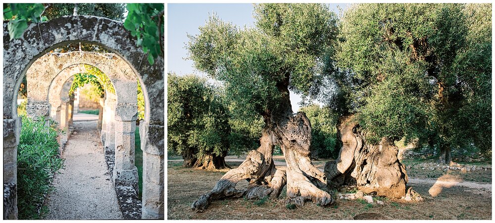  Masseria Spina wedding venue in south Italy Puglia, masseria wedding in Italy, ancient olive trees in Puglia 